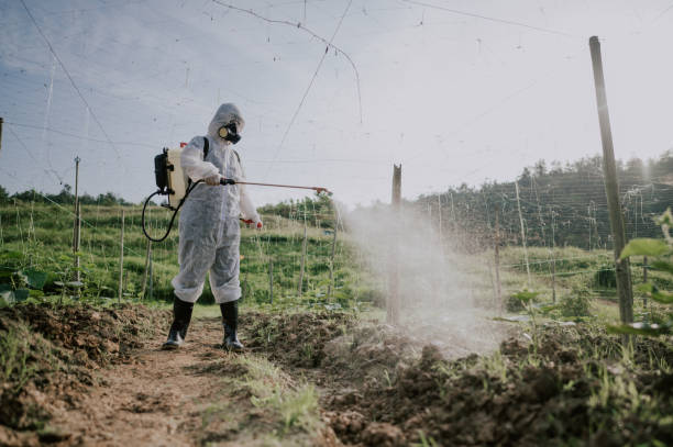 Best Affordable Pest Control Services  in Berry Hill, TN