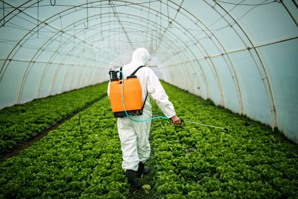 Best Local Pest Control Services  in Berry Hill, TN