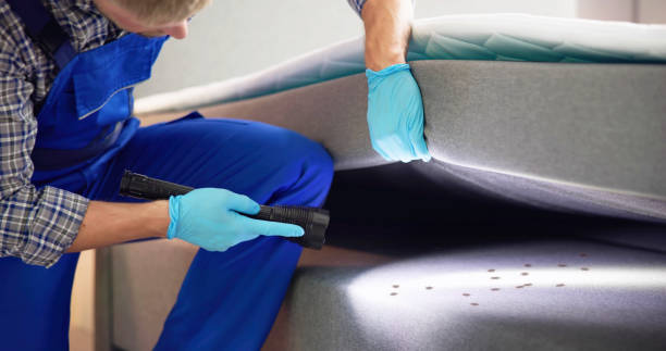 Best Termite Control Services  in Berry Hill, TN