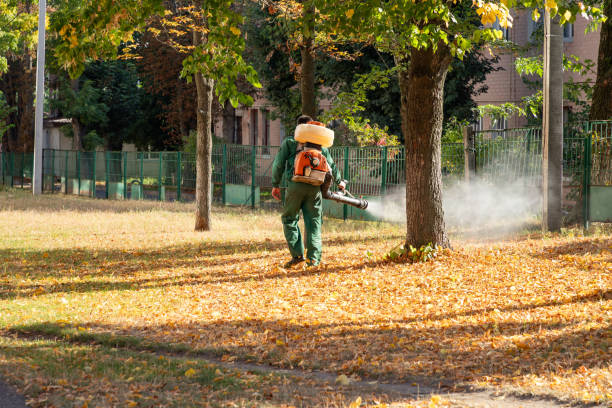 Best Residential Pest Control  in Berry Hill, TN