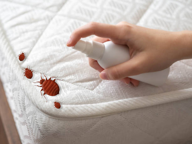 Best Residential Pest Control  in Berry Hill, TN