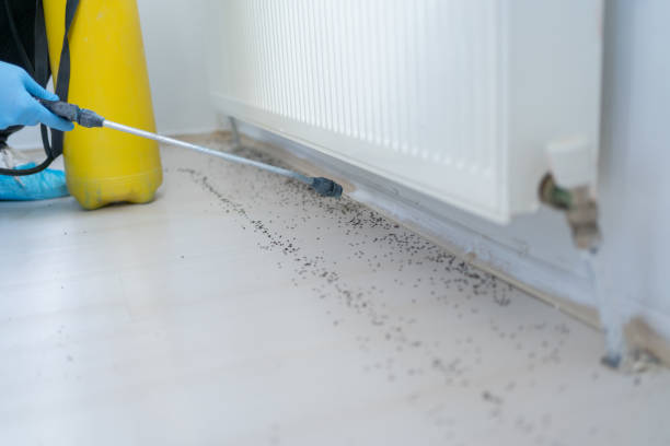 Best Emergency Pest Control  in Berry Hill, TN