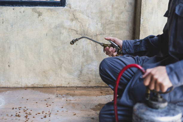 Best Flea Control Services  in Berry Hill, TN